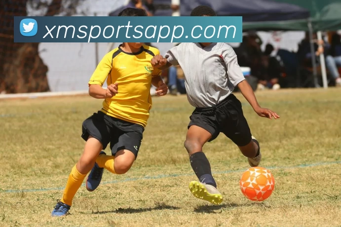 熊猫体育APPAPP 高清赛事图